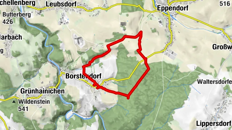 Viele Wege führen nach Rom - viele auch zum Waldlabyrinth Borstendorf