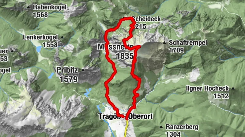 Meßnerin