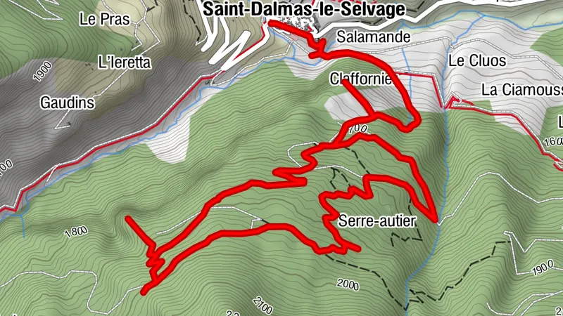 Sentier de la forêt