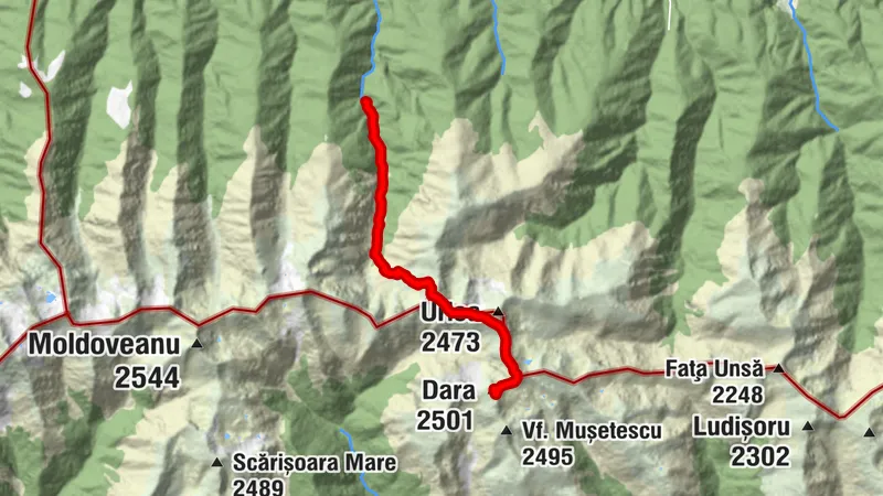 Dara, Brașov/România