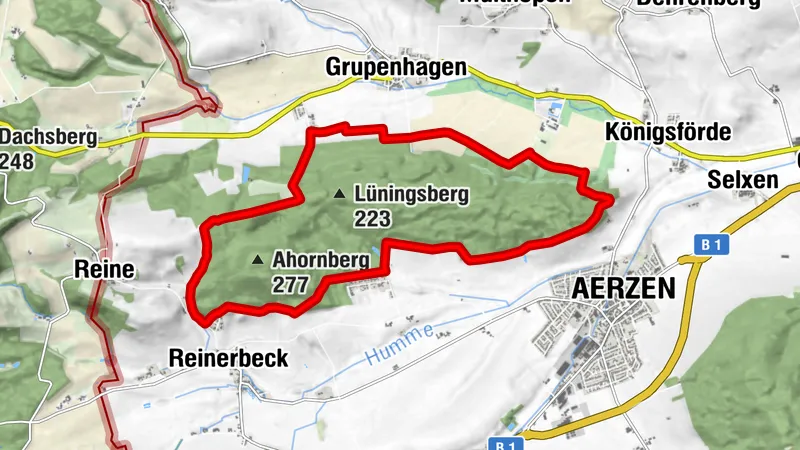 Rund um den Lüningsberg