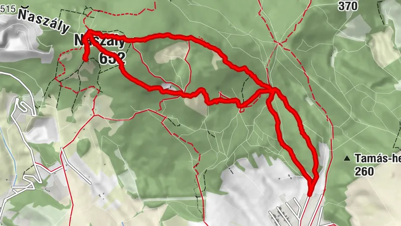 Naszály (652m)+ Látó-hegy (534m)