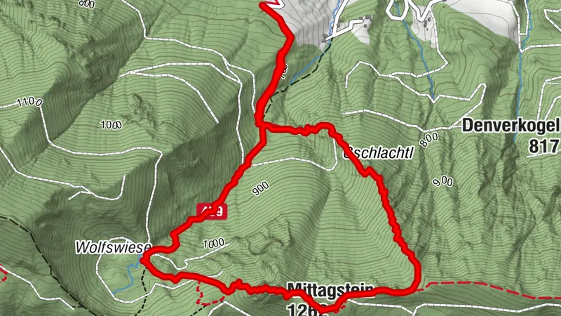 Mittagstein - über Wolfwiese hinauf, retour über Gschlachtl