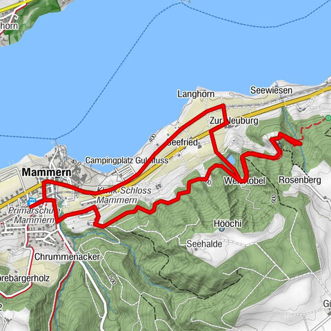 Ruta circular desde Mammern en el lago de Constanza hasta las ruinas de Neuburg