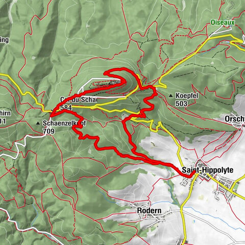 Saint Hippolyte - Haut Kœnigsbourg