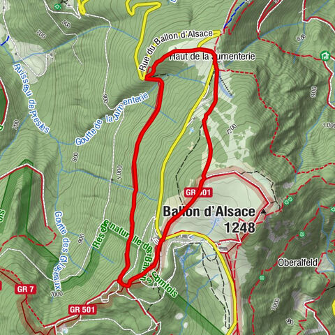 Paseo en familia en el Ballon d'Alsace