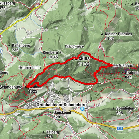 Hohe Wand: Grafenbergweg - Große Kanzel - Rastkreuz - Gländ